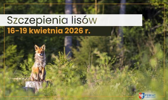 Szczepienie na strone